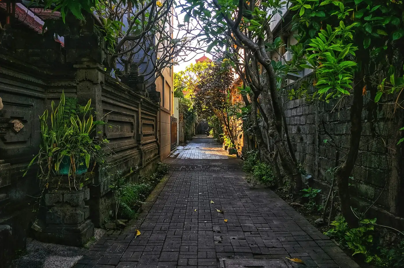 גאנג פופיס בקוטה שבבאלי, סמטה צרה ברוחב מכונית אחת עם שלטי הוסטלים וורונגים, באור יום