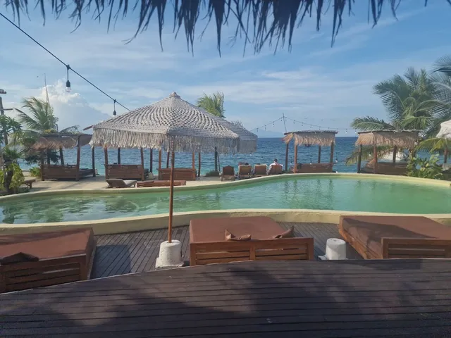 בריכה עם מיטות שיזוף וסוכות קש מול ים כחול ועצי דקל